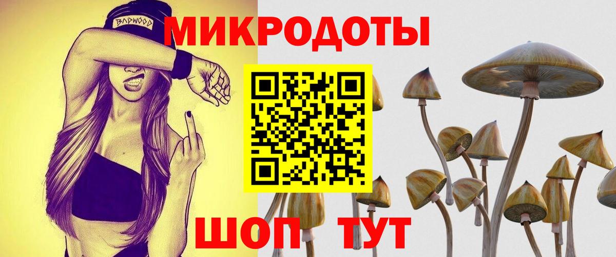 Тайшет  Галлюциногенные грибы мицелий  Вход с VPN 